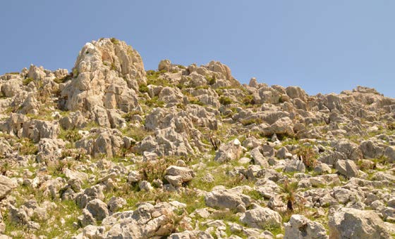 karren; lithology; rock relief; Sicily; Italy